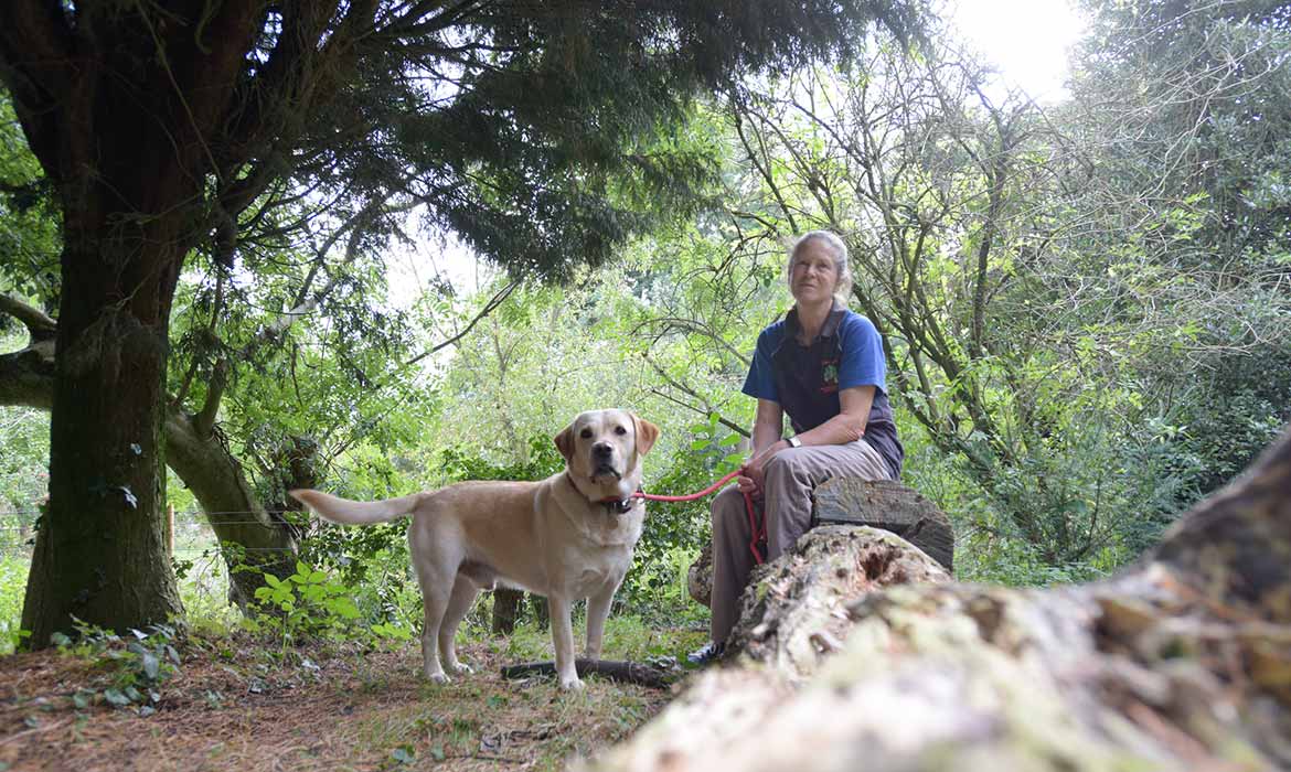Dog Boarding Kennels Quiet Acres Braiseworth, Eye, Suffolk