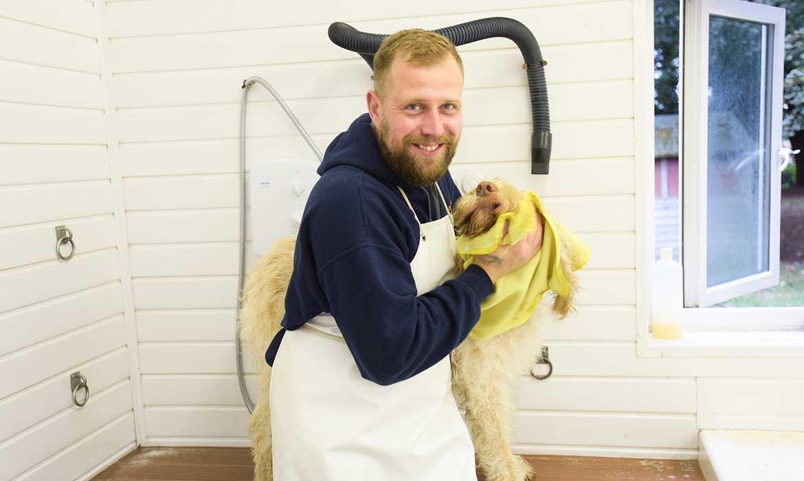 wash and blow dry for dogs